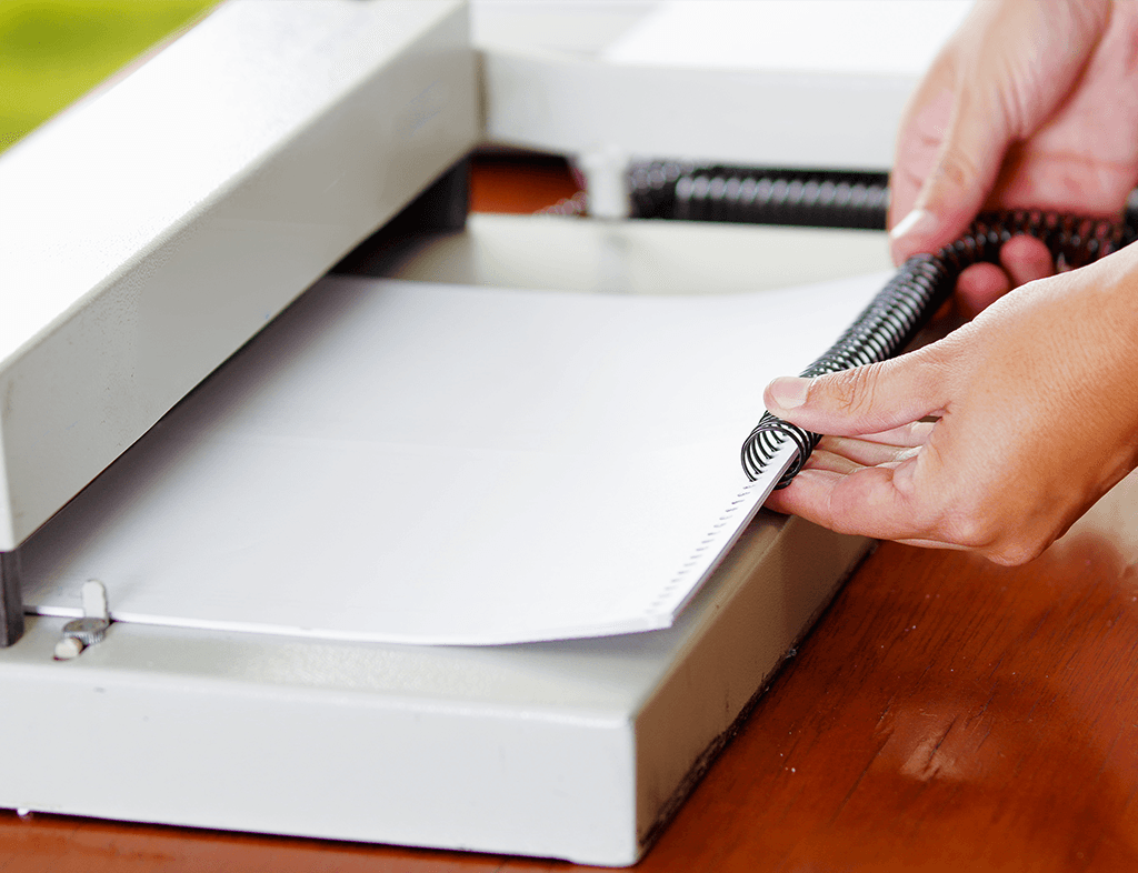 Renaissance Printing - 3