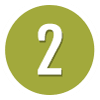 Z Trendz - 2
